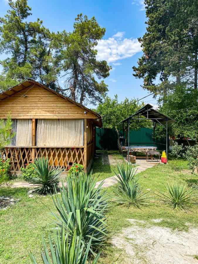 Guest House Harmony Pizunda Exterior foto